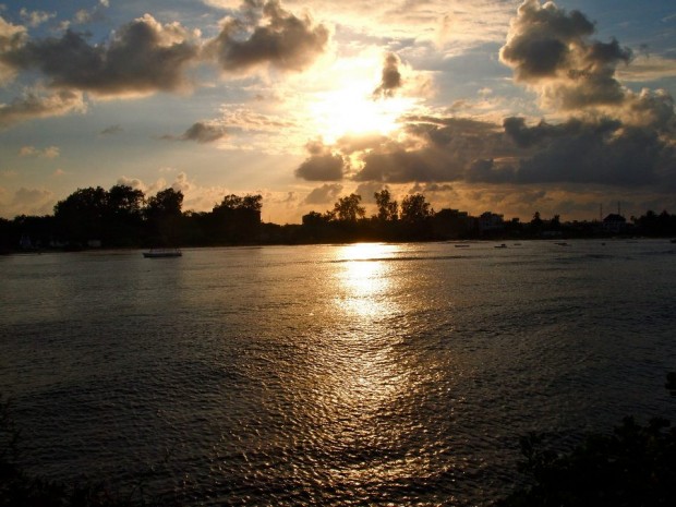 Lamu Holz